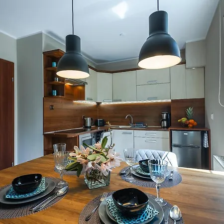 Daire Snowapart W Villi Avangarda *