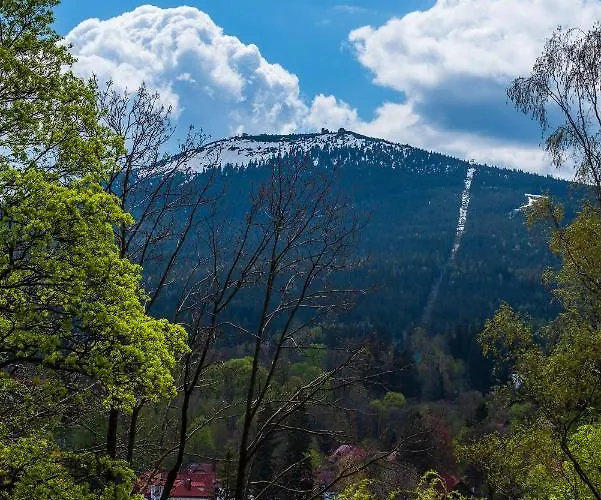 Snowapart W Villi Avangarda Apartamento *